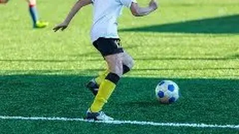 “实践与理念相融·推动国家现代化进程——“粮”安天下之路”