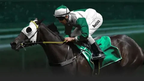 红牛车队争冠，维斯塔潘冲刺年度冠军